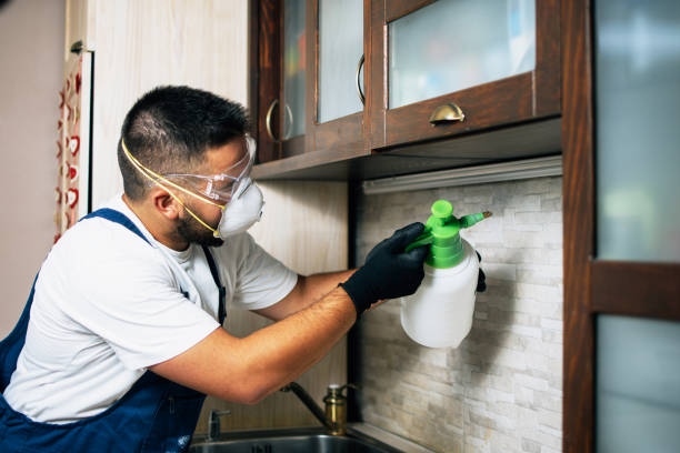 Best Commercial Pest Control Services  in Phillipsburg, KS