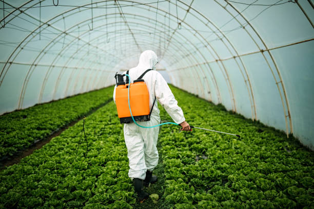 Best Pest Removal Services  in Phillipsburg, KS