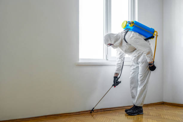 Best Exterminator Services  in Phillipsburg, KS