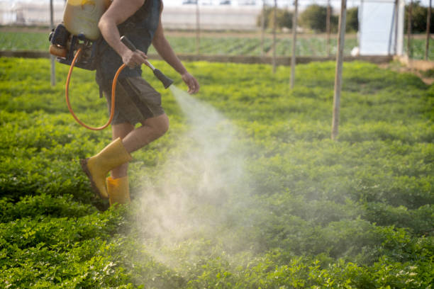 Pest Prevention Services in Phillipsburg, KS