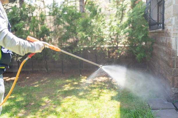 Best Flea Control Services  in Phillipsburg, KS